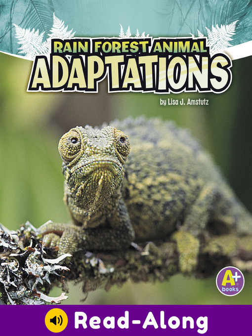 Title details for Rain Forest Animal Adaptations by Lisa J. Amstutz - Available